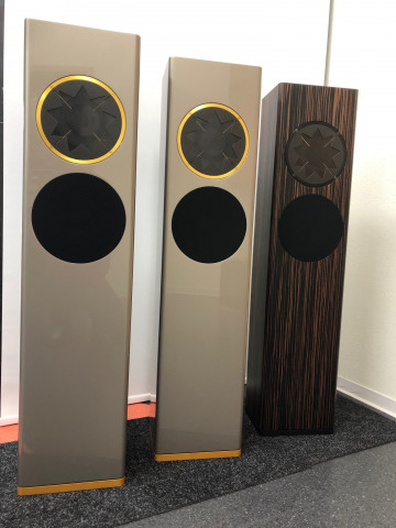 Perlmut Hochglanz MSW gold