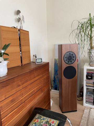 p2 europäischer Nussbaum