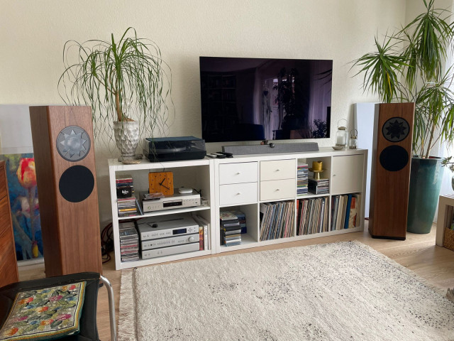 p2 europäischer Nussbaum